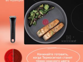 Набор посуды со съемной ручкой Tefal Ingenio Natural Force 3 предмета 24/28 см L3969102