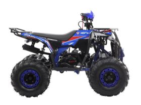 Квадроцикл MOTAX Grizlik A125