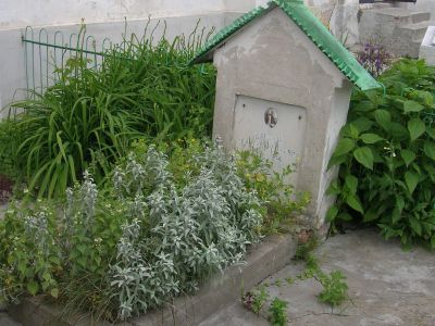 Могила Кашкина Николая Сергеевича (1829-1916), сына, С.Н. Кашкина, члена кружка петрашевцев