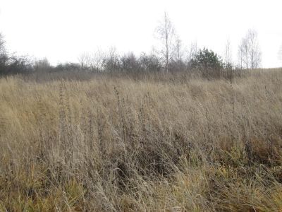 Родина Героя Советского Союза генерал-полковника И.Т. Гришина, умер в 1961 г.