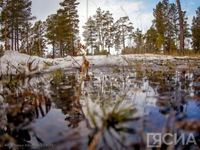 В Мегино-Кангаласском районе пропал мужчина, отправившийся на поиски лошадей