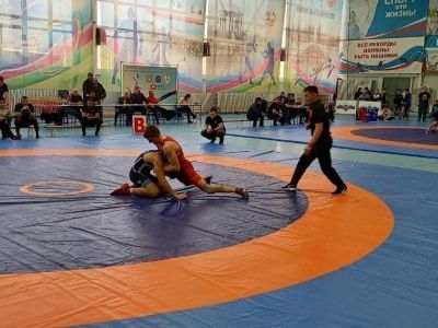 Юные якутские борцы завоевали 30 медалей на первенстве Дальнего Востока