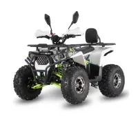 Квадроцикл DAZZLE Armour 125 Pro