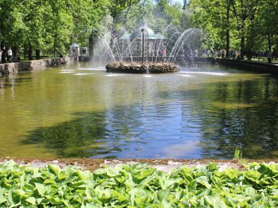 Менажерийный пруд с фонтаном "Солнце"