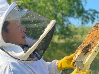 В Якутии предложили создать селекционно-племенной репродуктор для развития пчеловодства
