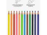 Набор карандашей цветных Гамма 12 цв, квадратные, заточен., метал. пенал