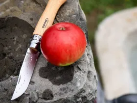 Нож складной Opinel №9 VRI Tradition Inox