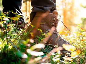 Ботинки PAMIR WP