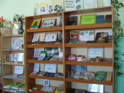 Илеберская сельская библиотека