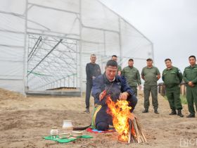 Крупнейший в Якутии лесопитомник открыли в селе Табага
