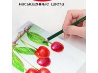 Набор карандашей цветных Гамма "Мультики" 6 цв., трехгранные, заточен., картон. упак., европодвес