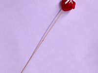 Декоративное украшение Heart, красное