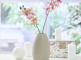 Цветок Mattinata