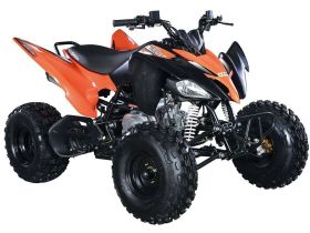 Квадроцикл ABM Scorpion 125M