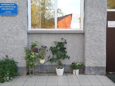 Шошинская поселенческая библиотека