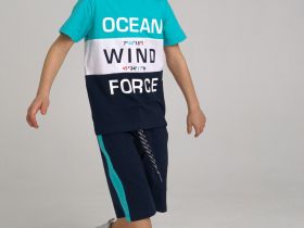 Комплект для мальчика: футболка, шорты