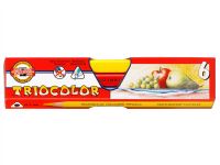 Набор карандашей цветных Koh-I-Noor "Triocolor" 6 цв трёхгранные д 5,6 дл 175 мм карт уп