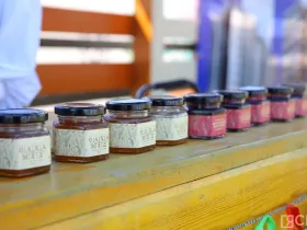 Выставка «Саха Инновации-2025» открылась на Ысыахе Туймаады