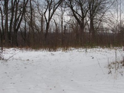 Главный дом