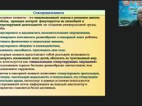 Международный вебинар "Игровые и коррекционно-развивающие занятия в сенсорной комнате"