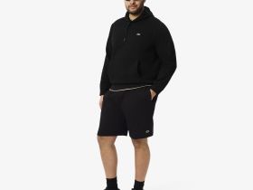 Мужские шорты Lacoste из органического хлопка