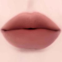 Жидкая матовая помада для губ Dinto Madame Butterfly Collection Blurring Lip Veil 109 Crescendo