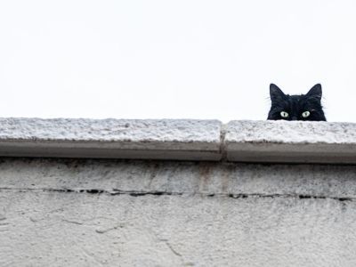 частник, иная