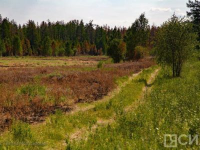 Лесные пожары действуют в двух районах Якутии