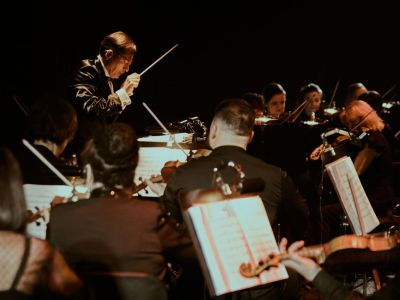 Билеты на Symphony of the Cinema. Турецкие сериалы (Уникс) / Концерт | Афиша | ИнфоТаймс