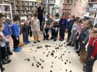 Центральная библиотека г. Ковдора