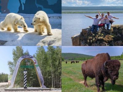 Бизонарий, большая кембрийская тропа, зоопарк. Где якутянам отдохнуть с детьми