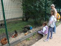 Сквер по Олонецкому проезду