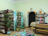 Мишкинская детская модельная библиотека