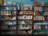 Новоникольская поселенческая библиотека