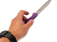 Складной нож Daggerr Toothpick BW, сталь 8Cr14MoV , рукоять фиолетовый FRN