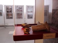 Дивногорский городской музей