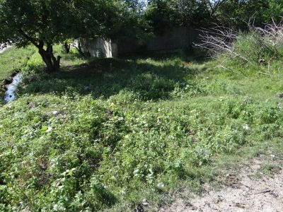 Обелиск воинам, погибшим в ВОВ