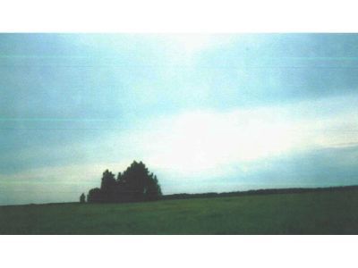 Священная роща