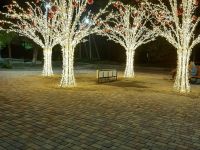 Парк культуры и отдыха с. Левокумского