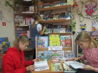 Новогородская библиотека – филиал № 13