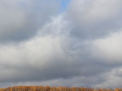 Священная роща