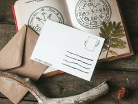 Открытка Дворникова А. "Зелье"