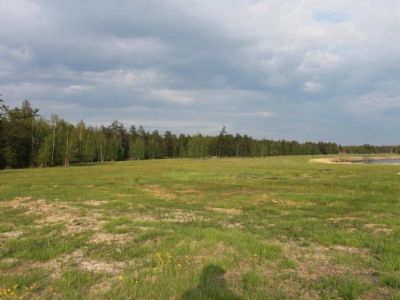 Еще семь памятников Якутии включат в Единый реестр объектов культурного наследия народов России