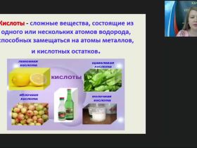 Международный вебинар "Важнейшие классы неорганических веществ. Кислоты. Соли"