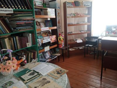 Вожинская сельская библиотека