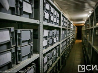 Гарантия продовольственной безопасности. В Якутии планируют создать банк семян растений