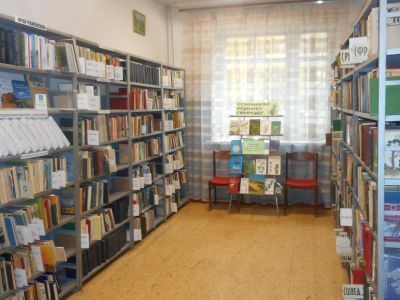 Гжельская сельская библиотека