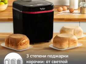 Хлебопечка Moulinex Pain & Plaisir OW220830