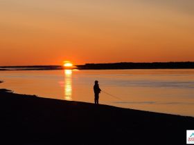 "Золотые Скалы реки Синяя". Синские, Ленские Столбы