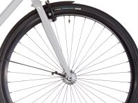 Электровелосипед Fixie Inc . Backspin Zehus, год 2024, цвет Серый, ростовка 23